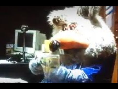 Chuck E Cheese Costumes Showbiz Pizza Wiki Fandom Chuck E Cheese Costumes Showbiz Pizza Wiki Fandom