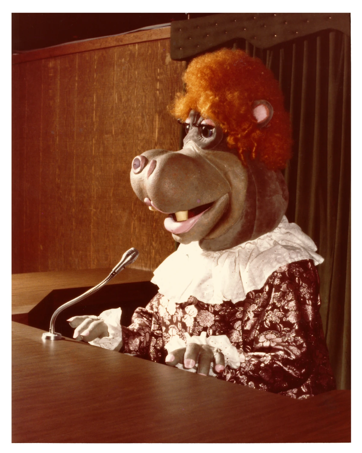 Dolli Dimples Pizza Wiki Fandom