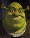 Shrek closeup