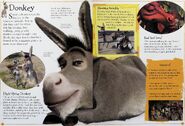 Donkey from "Shrek: The Essential Guide"