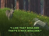 Donkey/Quotes