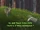 Donkey/Quotes