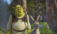 Shrek Donkey watch Puss