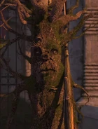 Evil Tree 2.jpg (233 KB) Evil Tree #2 (Shrek the Third)