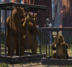 Tres Osos