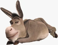 Burro 2.jpg (20 kB)