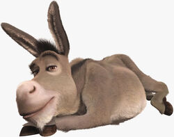 Asno Burro Shrek Wiki Fandom