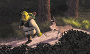 Shrek carrying fiona