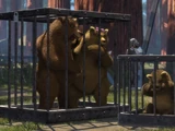 The Three Bears