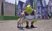 Shrek welcome duloc donkey