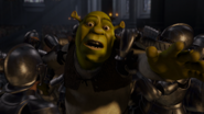 The guards seize Shrek