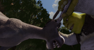 Donkey stick fight Shrek