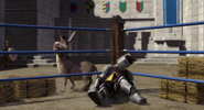 Donkey knocks out the last knight