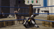 Donkey kicks knight