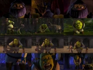 Shrek being kicked in the crotch.