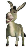 Donkey1
