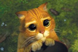 Cute Eyes