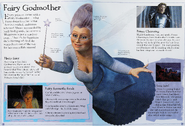 Fairy godmother essential guide