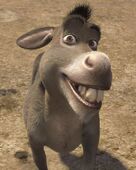 Donkey