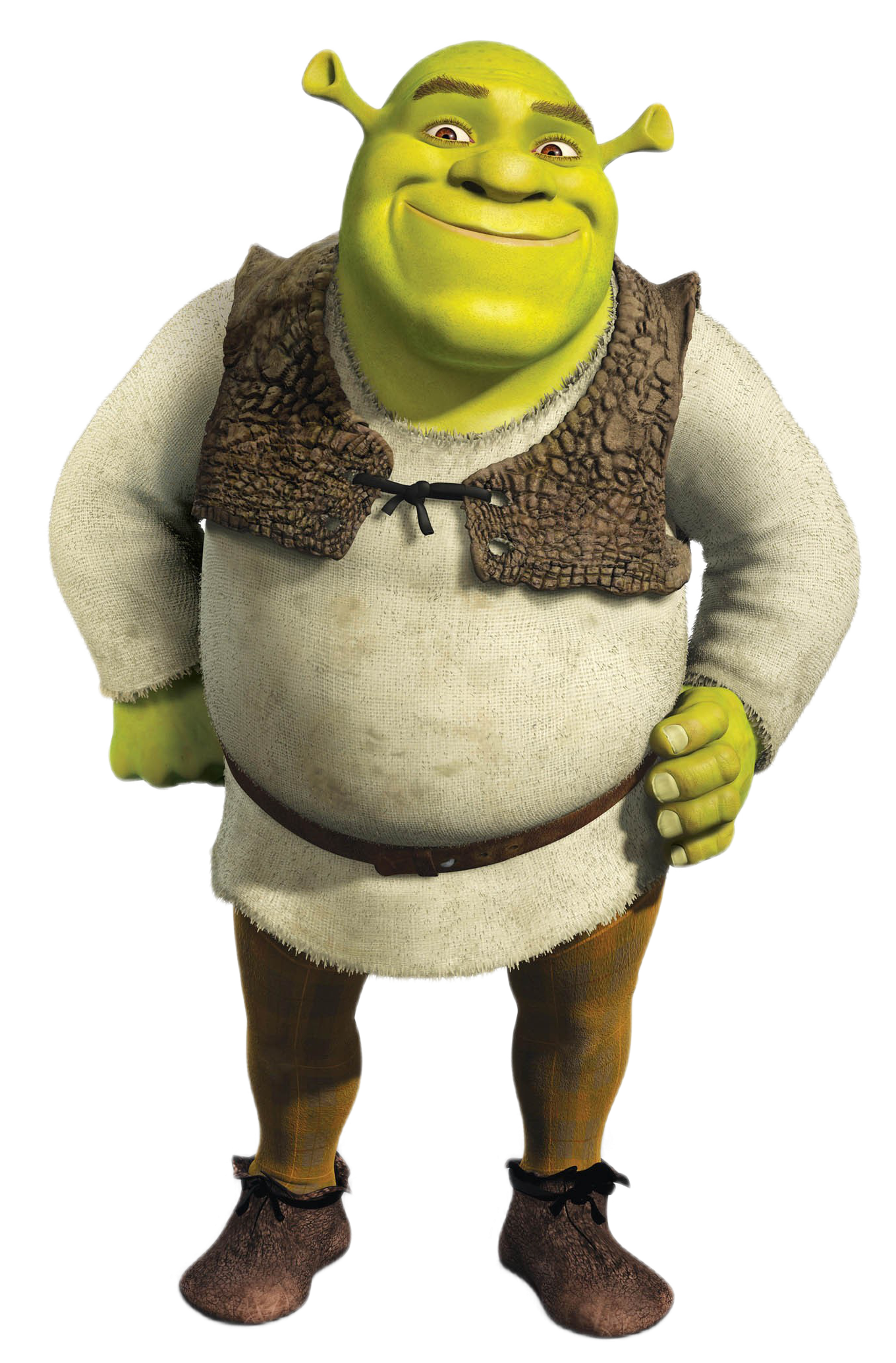 Featured image of post Shrek As An Anime Character : He was the only character holding the story together in the anime&#039;s later seasons.
