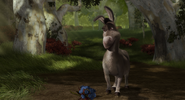 Donkey finds blue flowers