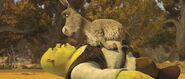 Shrek-donkey-shrek-forever-after-2010-CC1NA8