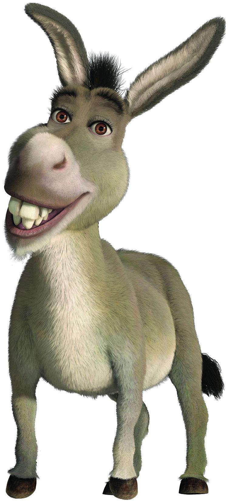 Burro do shrek Conservador