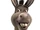 Donkey (species)