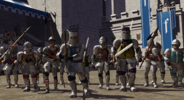 Shrek Fighting Knights