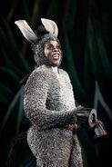 Shrek the Musical Donkey