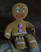 Gingerbread Man closeup