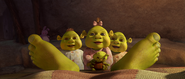 Shrek411