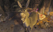 Donkey in shrek's swamp house