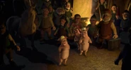 Shrek 2001 pigs.jpg (623 KB)