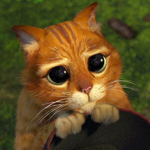 Puss In Boots Wikishrek Fandom