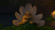 Frog king