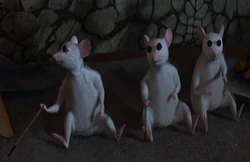 Ratones Ciegos