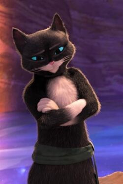Kitty soft paw sale