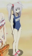 Shuffle09-07.jpg (80 KB) Image