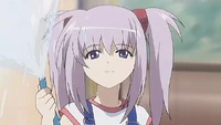 Primula babey.jpg (34 KB) Image