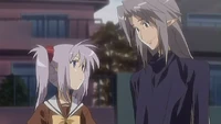 Forbessi and primula.png (285 KB) Image