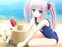 Primula sh beach.jpg (114 KB) Image
