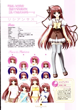 Shuffle! Visual Fan Book | Shuffle Wiki | Fandom