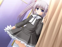Cute primula.jpg (101 KB) Image