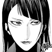 Close up of the Red Widow