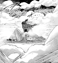 Soji on the ground after being injured