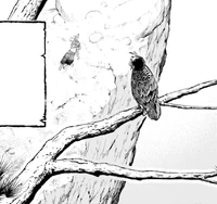 Susanoo watches the sword master collapsing