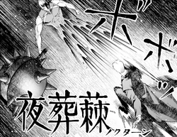 Night Funeral - Rose