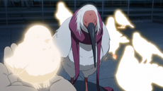 Tokimaru's real form