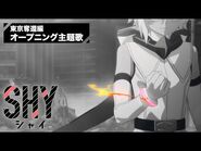 TV Version